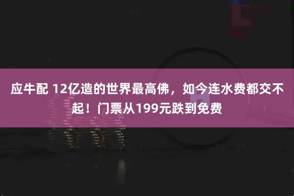 应牛配 12亿造的世界最高佛，如今连水费都交不起！门票从199元跌到免费