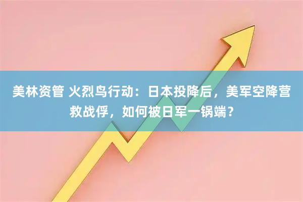 美林资管 火烈鸟行动：日本投降后，美军空降营救战俘，如何被日军一锅端？