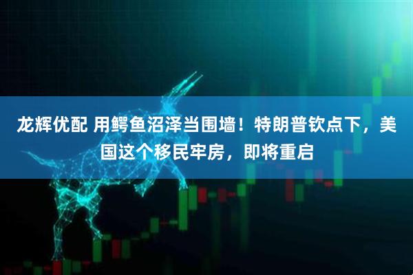 龙辉优配 用鳄鱼沼泽当围墙！特朗普钦点下，美国这个移民牢房，即将重启