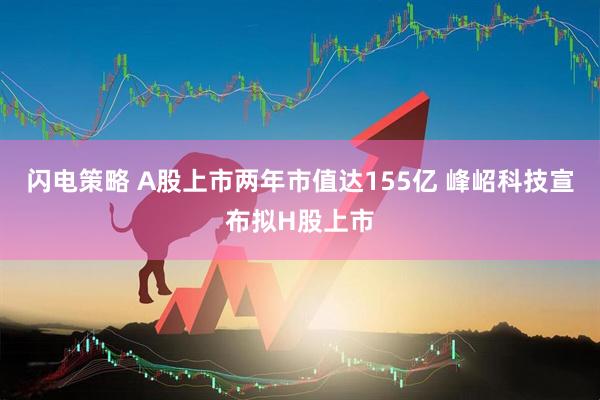 闪电策略 A股上市两年市值达155亿 峰岹科技宣布拟H股上市