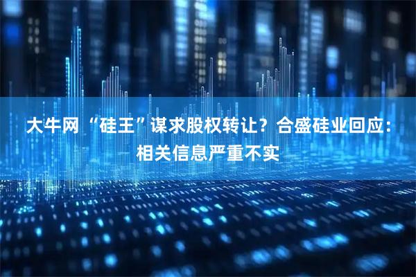 大牛网 “硅王”谋求股权转让？合盛硅业回应：相关信息严重不实