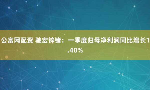 公富网配资 驰宏锌锗：一季度归母净利润同比增长1.40%