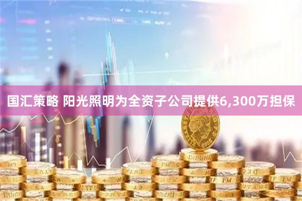 国汇策略 阳光照明为全资子公司提供6,300万担保