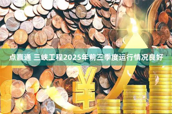点赢通 三峡工程2025年前三季度运行情况良好