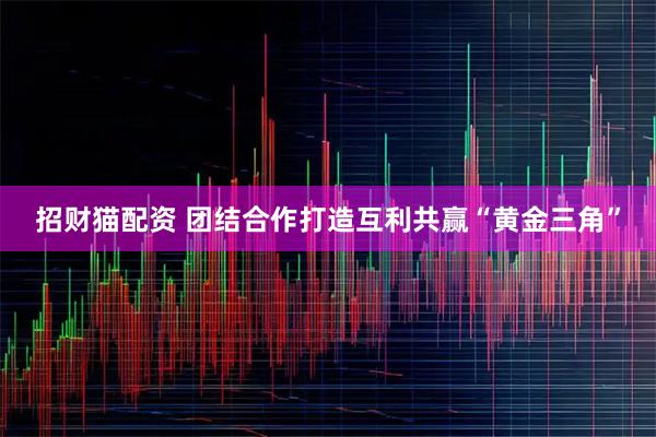 招财猫配资 团结合作打造互利共赢“黄金三角”