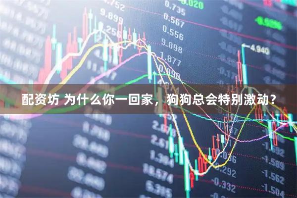 配资坊 为什么你一回家，狗狗总会特别激动？
