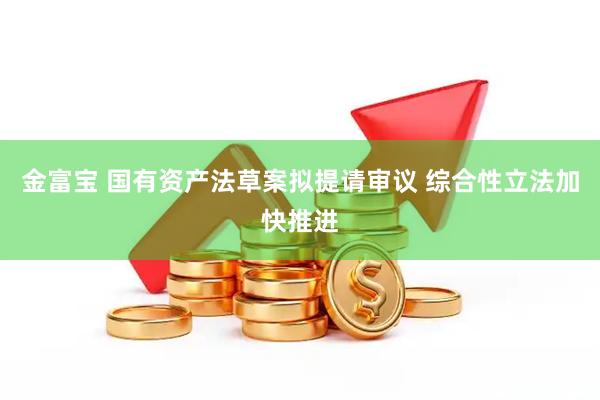 金富宝 国有资产法草案拟提请审议 综合性立法加快推进