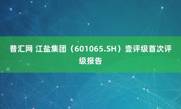 普汇网 江盐集团（601065.SH）壹评级首次评级报告