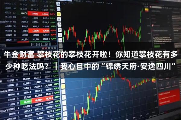 牛金财富 攀枝花的攀枝花开啦！你知道攀枝花有多少种吃法吗？｜我心目中的“锦绣天府·安逸四川”