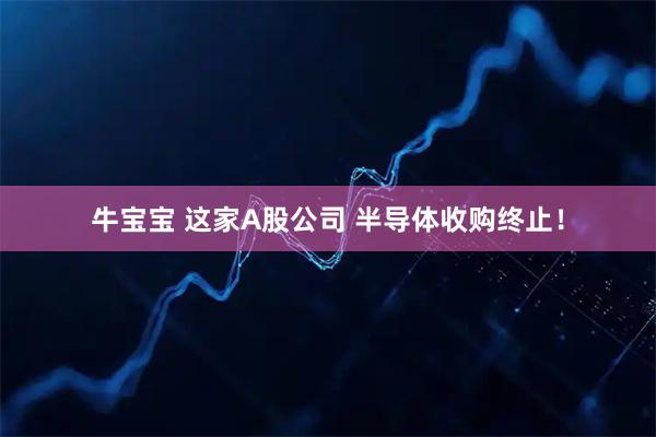 牛宝宝 这家A股公司 半导体收购终止！