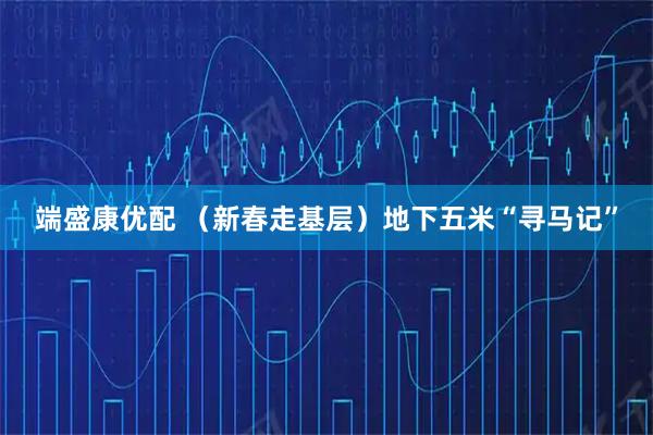 端盛康优配 （新春走基层）地下五米“寻马记”